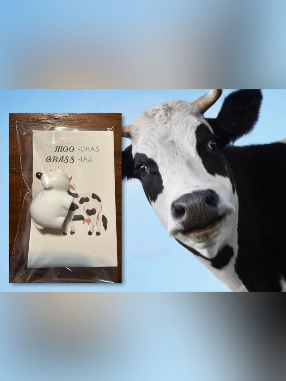 $2 Cow Card Set $2 WITH ANY $10 Order or more